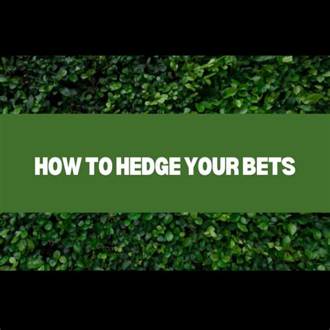 what does hedging a bet mean